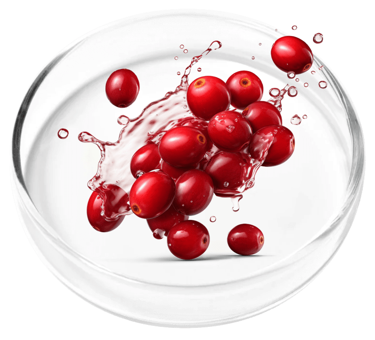 Femicore ingredient Cranberry Extract